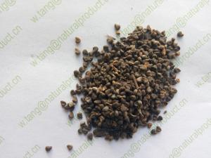 China Herb of Indian Abutilon indicum Linn Sweet seeds Mo pan cao Organic on sale