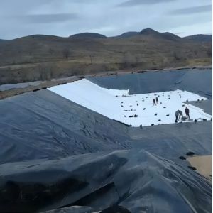 s Distribution High Density Polyethylene EVA HDPE Geomembrane Waterproof Anti