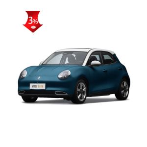 Electric Funky Good Ev Ora Cat Compact Car Unky Cat Luxury Ternary Lithium