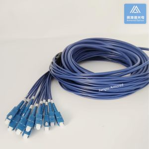 12 Cores Stainless Steel Armored Patch Cord SC-SC-30m Blue PVC 5.0mm Rodent