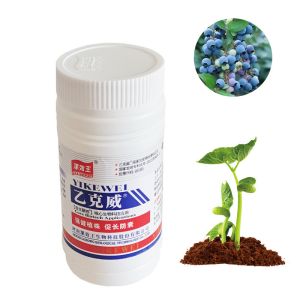 Cheap Agricultural Organic Humic Acid Fertilizer Promote Nutrient Assimilation for sale