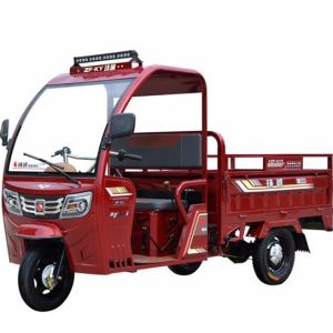 China Air Conditioning 70km/H 150cc Three Wheel Cargo Motorcycle on sale