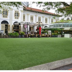 55mm Garden Artificial Grass Synthetic Grass Comfortable And Soft