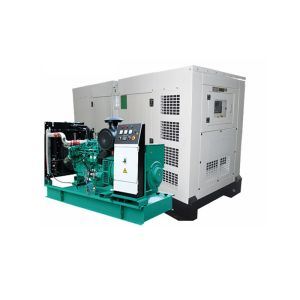 250kw Small Water Cooled Generator With Cummins Engine And ABB / SOCOMEC ATS