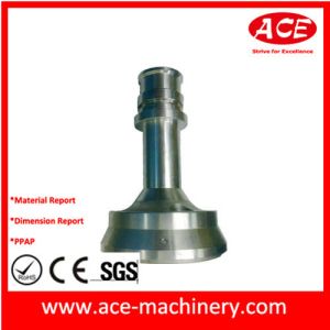 Customized Hardware OEM Spray Nozzle Part with /-0.05mm Tolerance and Customizat