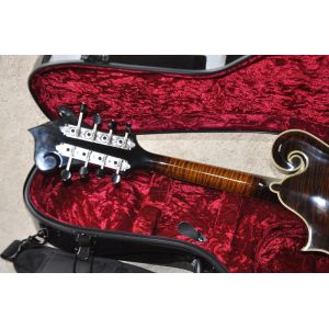Handmade custom advanced 8 strings QT-F5 mandolin electric guitar with ebony