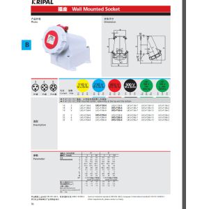 400V DIN VDE 0623 16A 4 Pin Wall Mounted Socket
