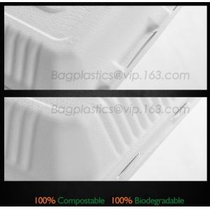 School lunch box, Fresh Preserved Compartment PLA Lunch Box, Disposable clear