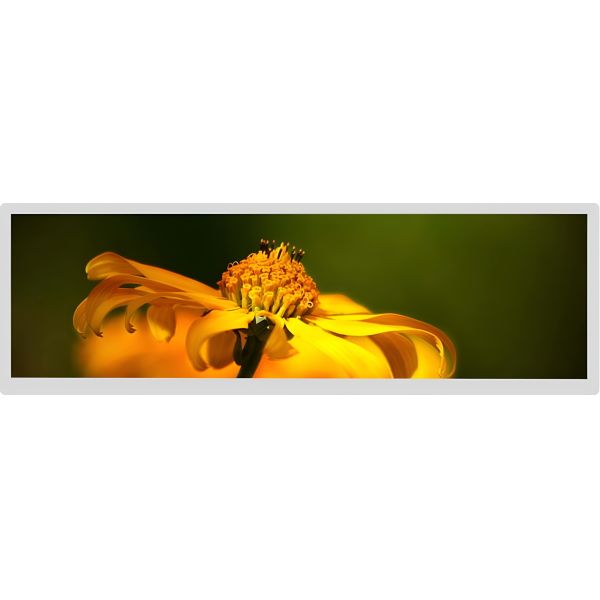 Quality 28" Bar Type LCD Display 1920x360 IPS TFT Lvds Interface wholesale