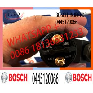 High Quality Diesel Fuel Injector 04290986 20798114 0445120066 For VOL EC240