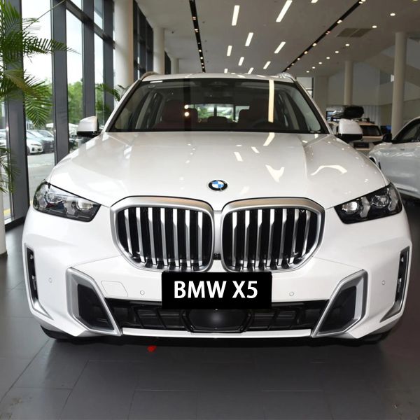 Quality BMW X5 Mild Hybrid Used Car 5 Doors 5 Seats 3.0T L6 48V Sports SUV 250km/h Multi-function Steering Wheel wholesale