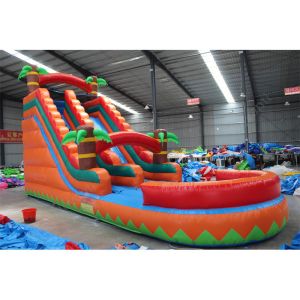 Experience the Thrill with Our Custom Logo Printed Inflatable Castle Slides