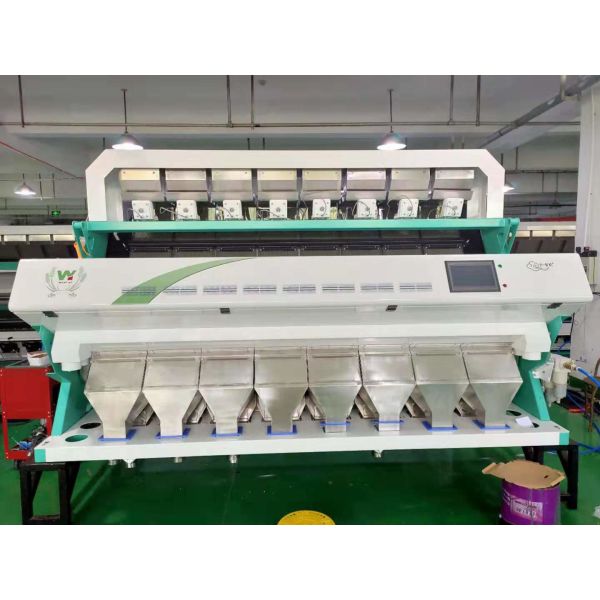 Quality Wenyao 220V 50Hz Chickpea Color Sorter Low temperature LED light wholesale