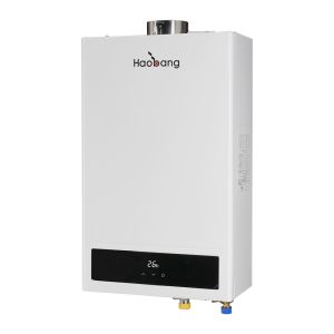Balanced Flue Gas Water Heater Gas Water Heater for Energy Conservation and