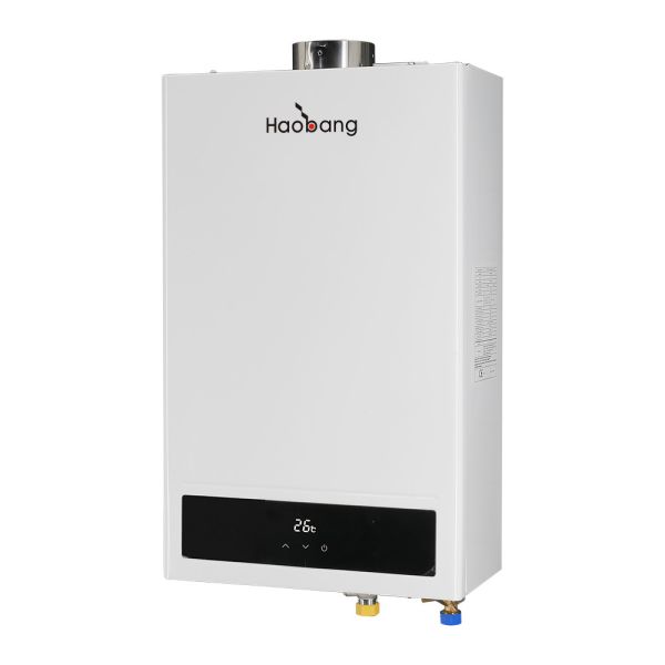 Balanced Flue Gas Water Heater Gas Water Heater for Energy Conservation and