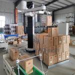 PLC and HMI Control System Robotic Palletizer 4-5 Axis Articulated Robot for 6-7