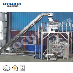 Efficiently Pack 5000kg Tube and Cube Ice with Fully-Automatic Ice Packing Machine