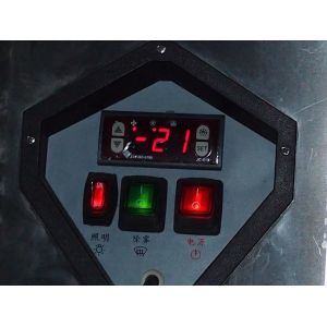 Energy-Saving Ice Cream Display Case | Frost-Free & Hygienic | Glass Door