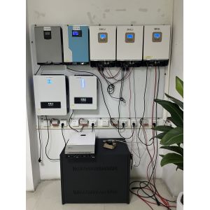 1KW Low Frequency Solar Inverter Pure Sine Wave With MPPT Charge Controller