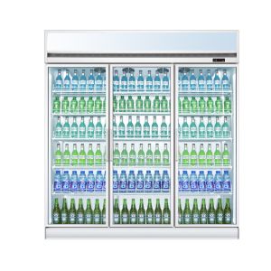 -18 To -20 2 /3/4 Door Top Mount Showcase Upright Refrigerator Freezer For Supermarket