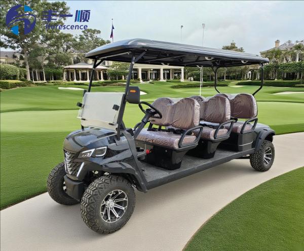 Quality High Quality 6 Seater Golf Carts Electric Buggy Black Color Lithium Battery wholesale