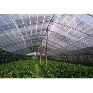 China High-Efficiency Shade Net Making Machine with Made-to-order Color and Oiled Eccentric Gearing on sale