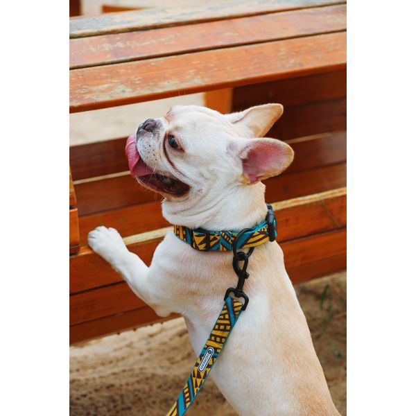 Personalized Elastic Padded Neoprene Dog Collar And Lead With Nameplate