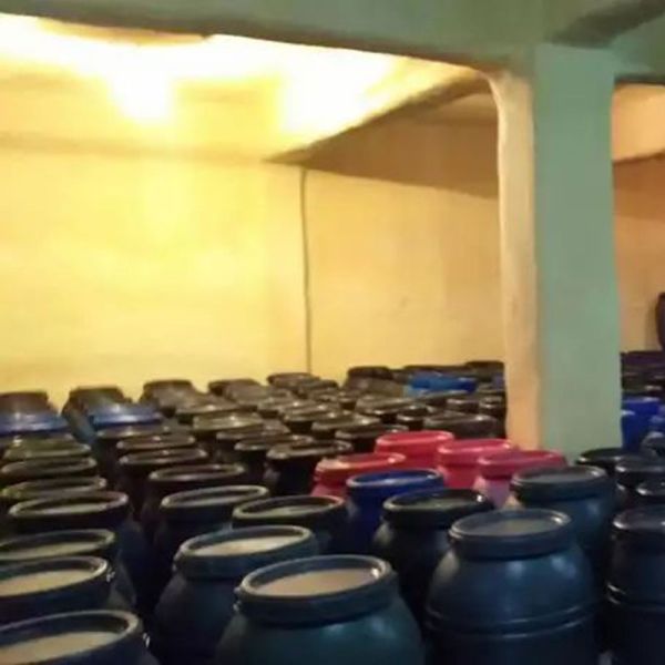 Iso9001 Certificate Natural Lamb Casings