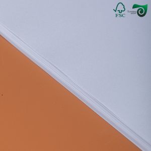 75gsm 80gsm Cream Bond Paper FSC With Smooth Finish For Book Text Publishing 8.5