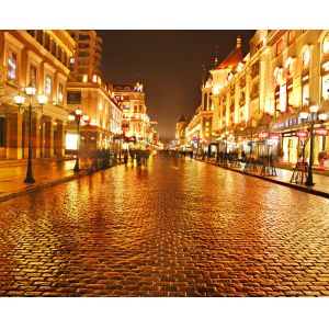 Cheap Modern Lighted MDF Decorating Wall Art for Restaurant / Hotel / Bar, LCP-54 for sale