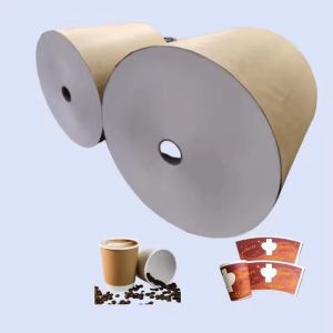 Craft Material PE/PLA coated paper roll Free Sample OEM FDA Quality for heavy
