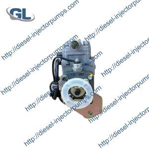 China 0460404972 High Quality Diesel Fuel Injection VE Pump VE4/10E2100R724 038130107B FOR VOLKSWAGEN VW1.91SDI on sale