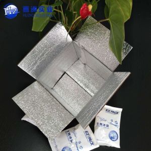 Insulated Aluminium Foil Packaging Cardboard Box Caviar Chocolate Transport HZ