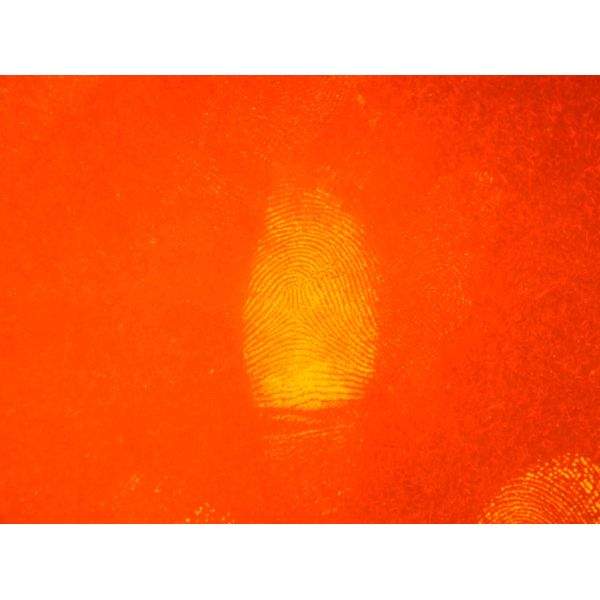 C017 DFO stock solution