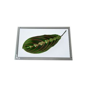 Cheap LQ695D3LG21 70.0 inch 700 cd/m2 WLED TFT-LCD Module panel for sale