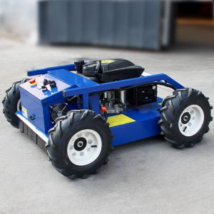 Cheap Petrol Lawn Mower Industrial/DIY Riding Mower with Rotary Cordless and Robotic Mower Features for sale