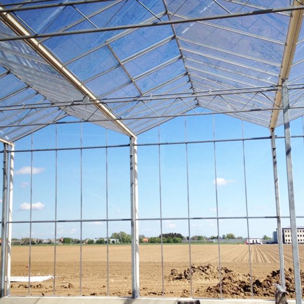 Hydroponic Growing System Venlo Glass Greenhouse Galvanized Steel Frame