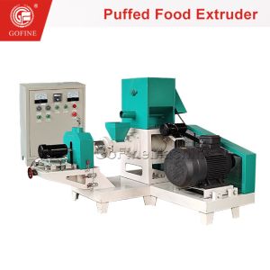 Advanced Snack Food Extrusion Equipment With Double Screw Technology