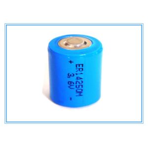 Gas Meter Li SOCL2 Battery , 1/2AA ER14250M Battery 3.6V 750mAh Power Type
