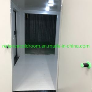 Deep Freezer Cold Room Cold Storage Chiller for Blood Customized Request
