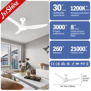 Power Saving DC Motor Plastic Ceiling Fan White Warm Yellow Light