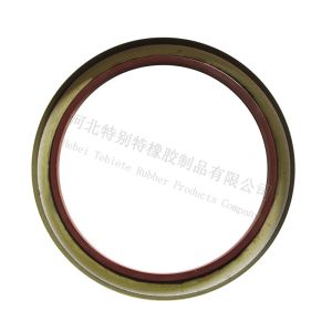 113x140x13mm TC Oil Seal For Delong X3000 NBR Wheel Hub Oil Seal 113*140*13mm