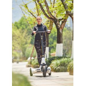 25km/h Balancing DC motor Portable Kick Scooter