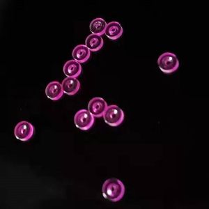 Customized CZ Ruby Bearing , Sapphire Bearing With Through Hole