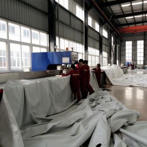 Roof Top Dual Membrane Biogas Storage Tanks For Anaerobic Digestion Installation