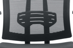 Moded Foam 45KG/M3 Mesh Back Computer Chair 2.5mm Steel Plate