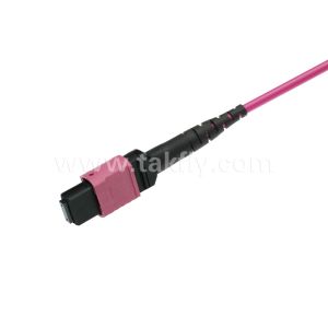 Elite Multimode OM4 50/125 Plenum OFNP Type B MPO Patch Cord 3.0mm Cable 10m