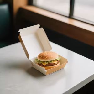 Customized Printing Fast Food Packaging Paper Hamburger Fries Takeaway Boxes