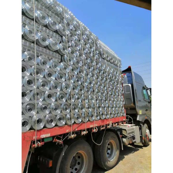 Quality Rust Resisting 2 X 3 Welded Steel Wire Mesh Dia 1.5mm-3.0mm For Plant Area wholesale