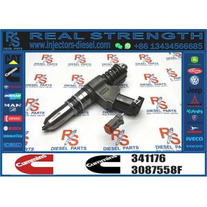 Diesel Common Rail Diesel Fuel Injector 341176 3411381 3411762 For Cummins QSN14